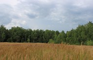 Фотография объекта торгов 16892025