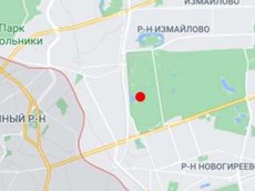 ГП16888762.Нестационарный объект_Павильон.Участок, на котором размещается объект.jpg