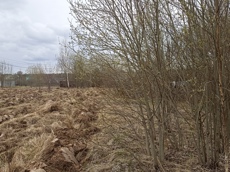 Земельный участок.Общий вид объекта.Российская Федерация, город Москва, внутригородская территория поселение Киевский, деревня Шеломово, земельный участок 25Б_2.jpg