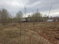 Земельный участок.Общий вид объекта.Российская Федерация, город Москва, внутригородская территория поселение Киевский, деревня Шеломово, земельный участок 25Б_11.jpg