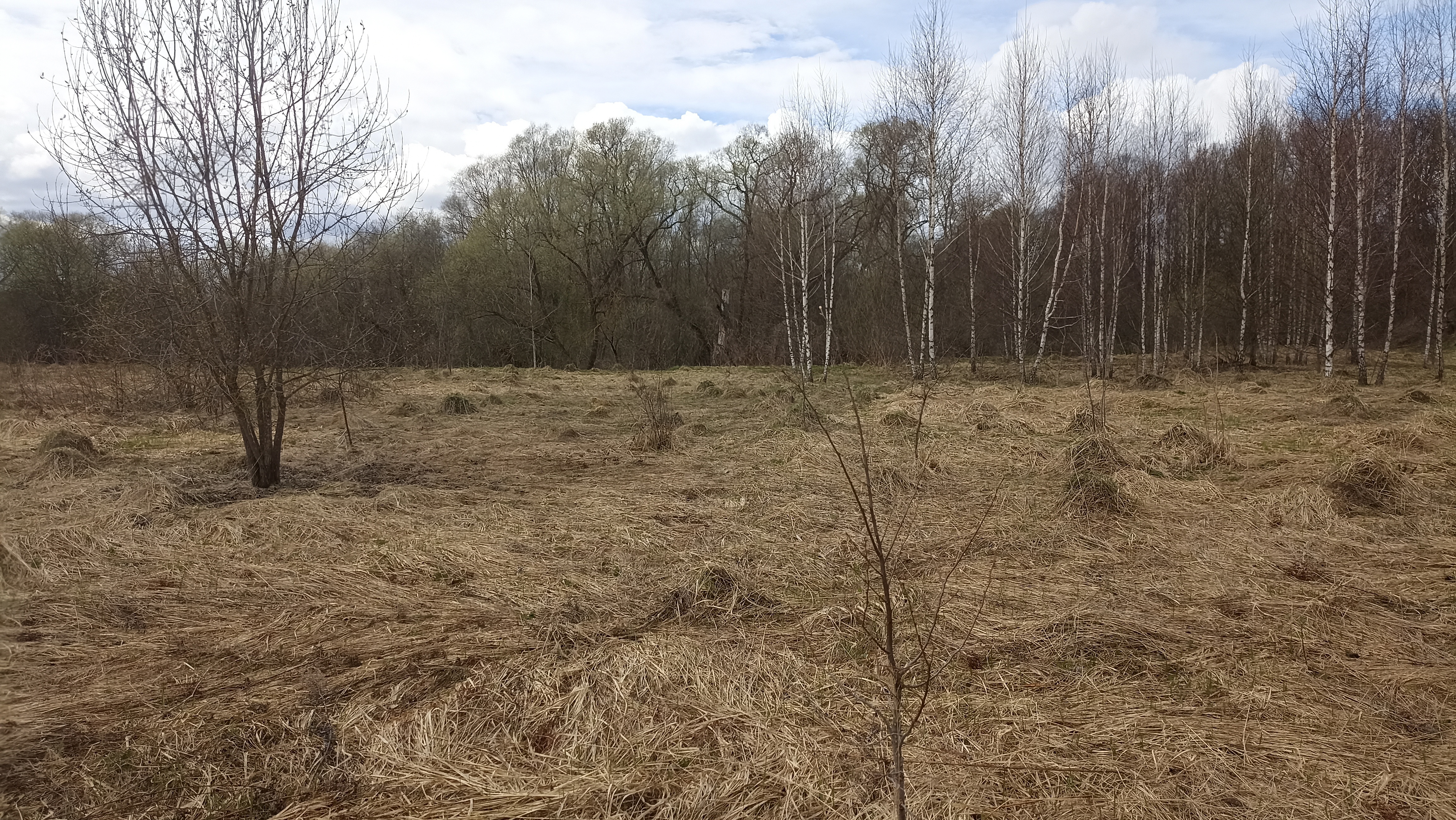 Земельный участок.Общий вид объекта.Москва, д Хатминки, внутригородская территория поселение Первомайское, земельный участок 40Д_11.jpg