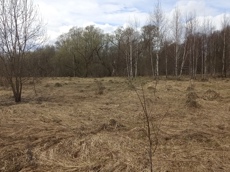 Земельный участок.Общий вид объекта.Москва, д Хатминки, внутригородская территория поселение Первомайское, земельный участок 40Д_11.jpg