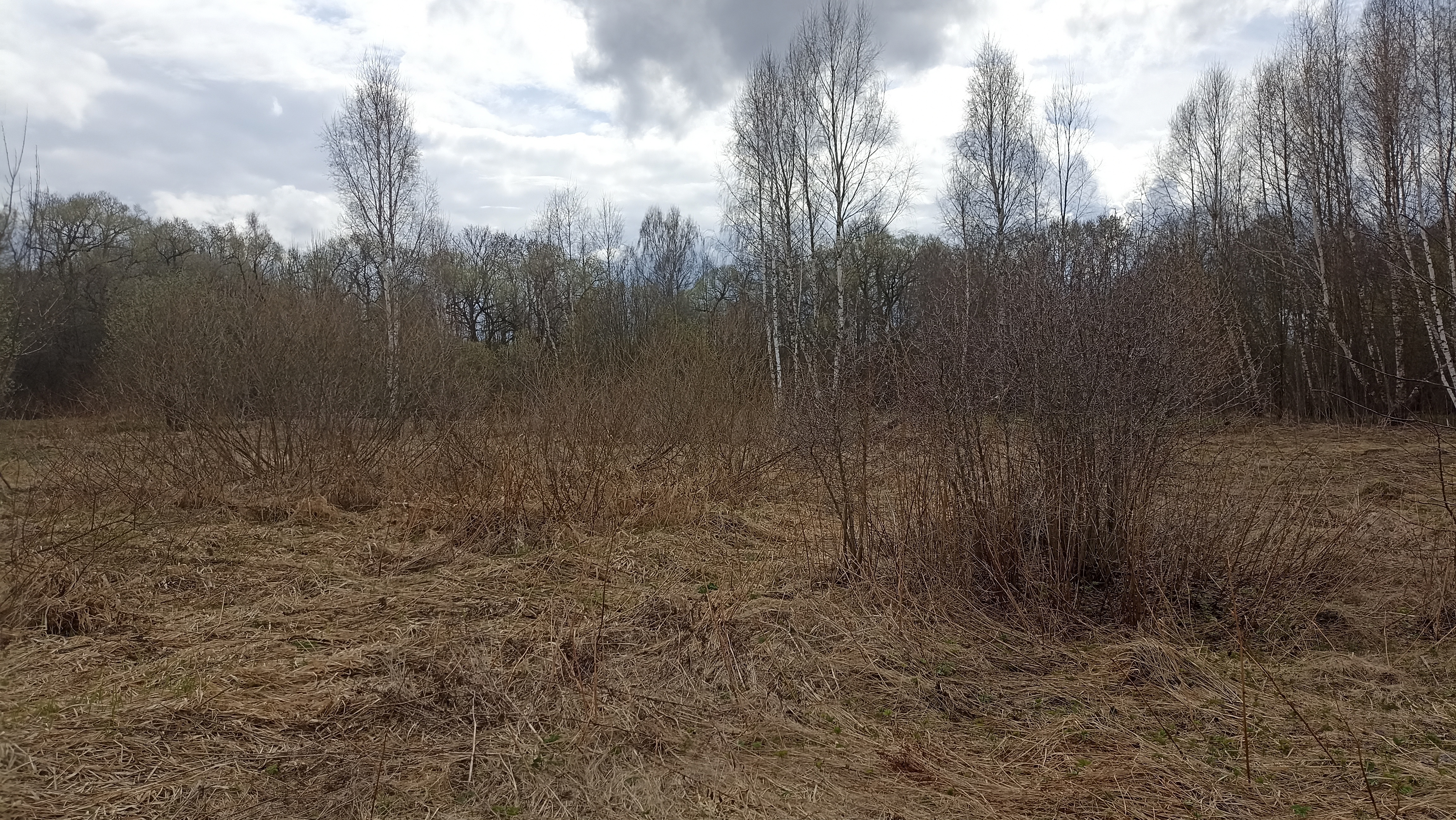 Земельный участок.Общий вид объекта.Москва, д Хатминки, внутригородская территория поселение Первомайское, земельный участок 40Д_7.jpg