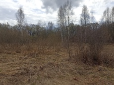 Земельный участок.Общий вид объекта.Москва, д Хатминки, внутригородская территория поселение Первомайское, земельный участок 40Д_7.jpg