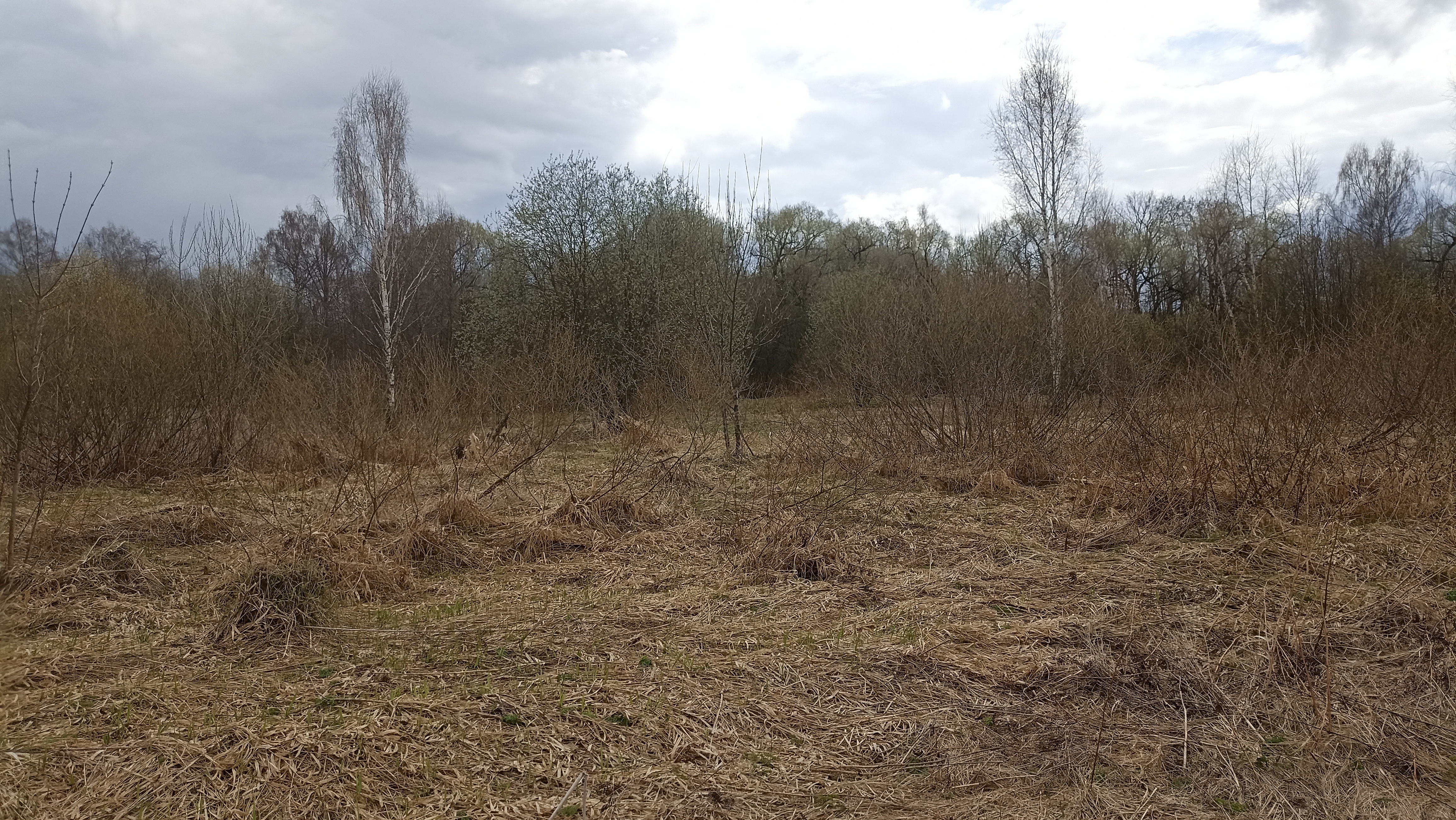 Земельный участок.Общий вид объекта.Москва, д Хатминки, внутригородская территория поселение Первомайское, земельный участок 40Д_6.jpg