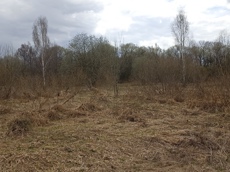 Земельный участок.Общий вид объекта.Москва, д Хатминки, внутригородская территория поселение Первомайское, земельный участок 40Д_6.jpg