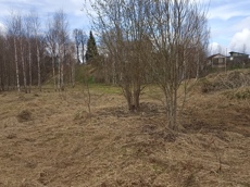 Земельный участок.Общий вид объекта.Москва, д Хатминки, внутригородская территория поселение Первомайское, земельный участок 40Д_10.jpg