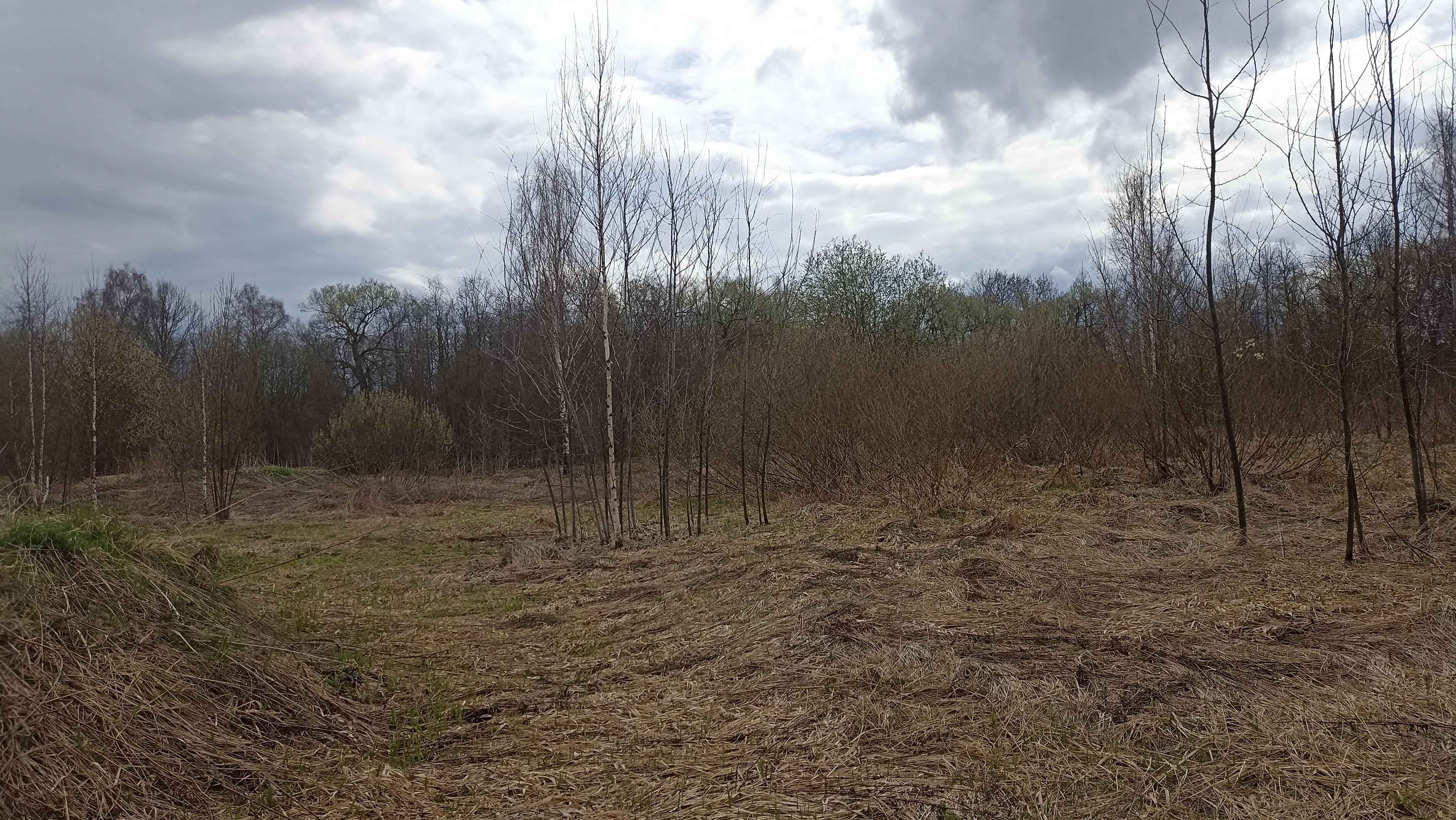 Земельный участок.Общий вид объекта.Москва, д Хатминки, внутригородская территория поселение Первомайское, земельный участок 40Д_9.jpg