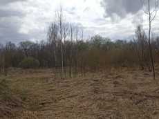 Земельный участок.Общий вид объекта.Москва, д Хатминки, внутригородская территория поселение Первомайское, земельный участок 40Д_9.jpg