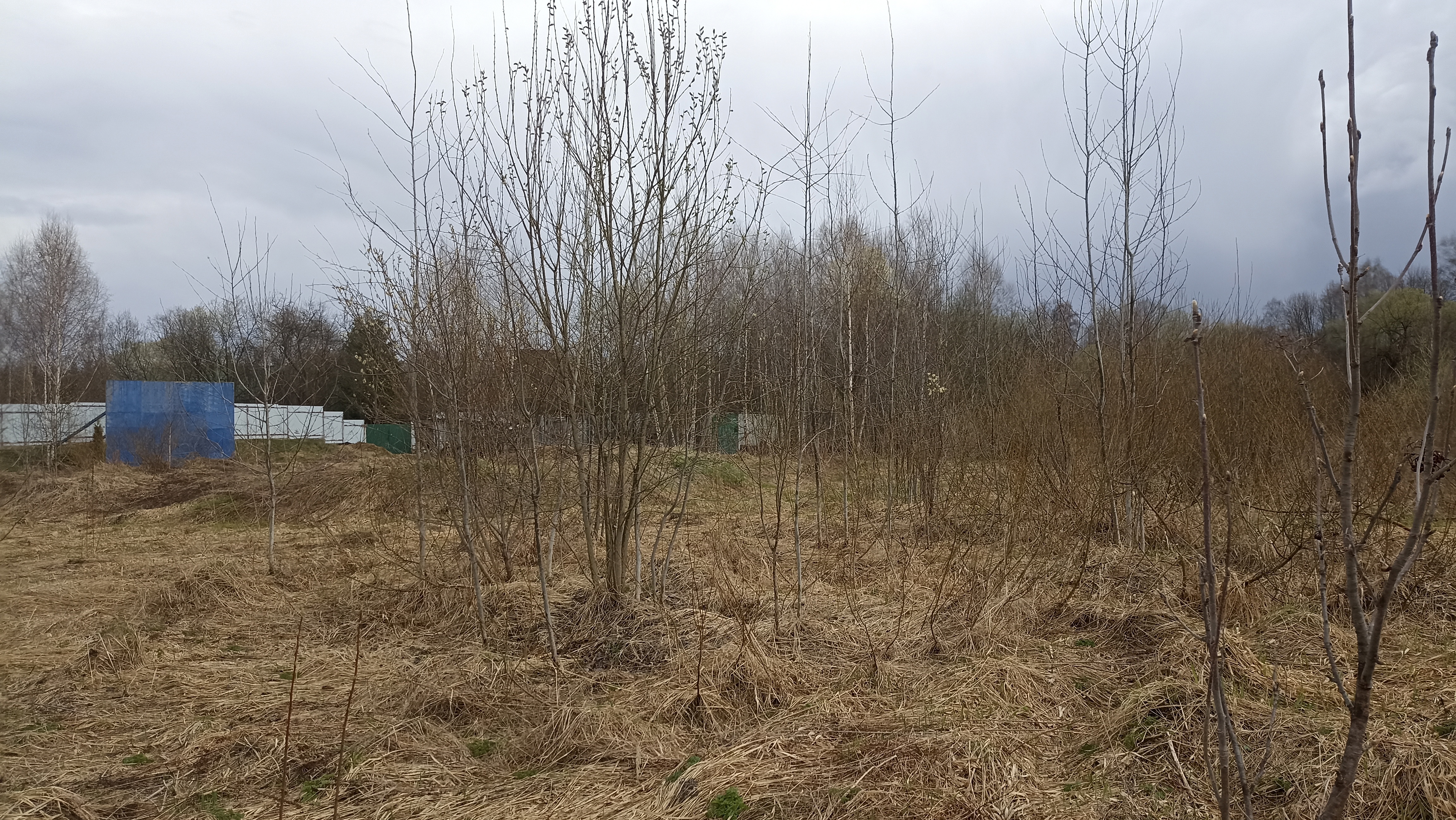 Земельный участок.Общий вид объекта.Москва, д Хатминки, внутригородская территория поселение Первомайское, земельный участок 40Д_4.jpg