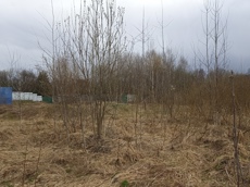 Земельный участок.Общий вид объекта.Москва, д Хатминки, внутригородская территория поселение Первомайское, земельный участок 40Д_4.jpg