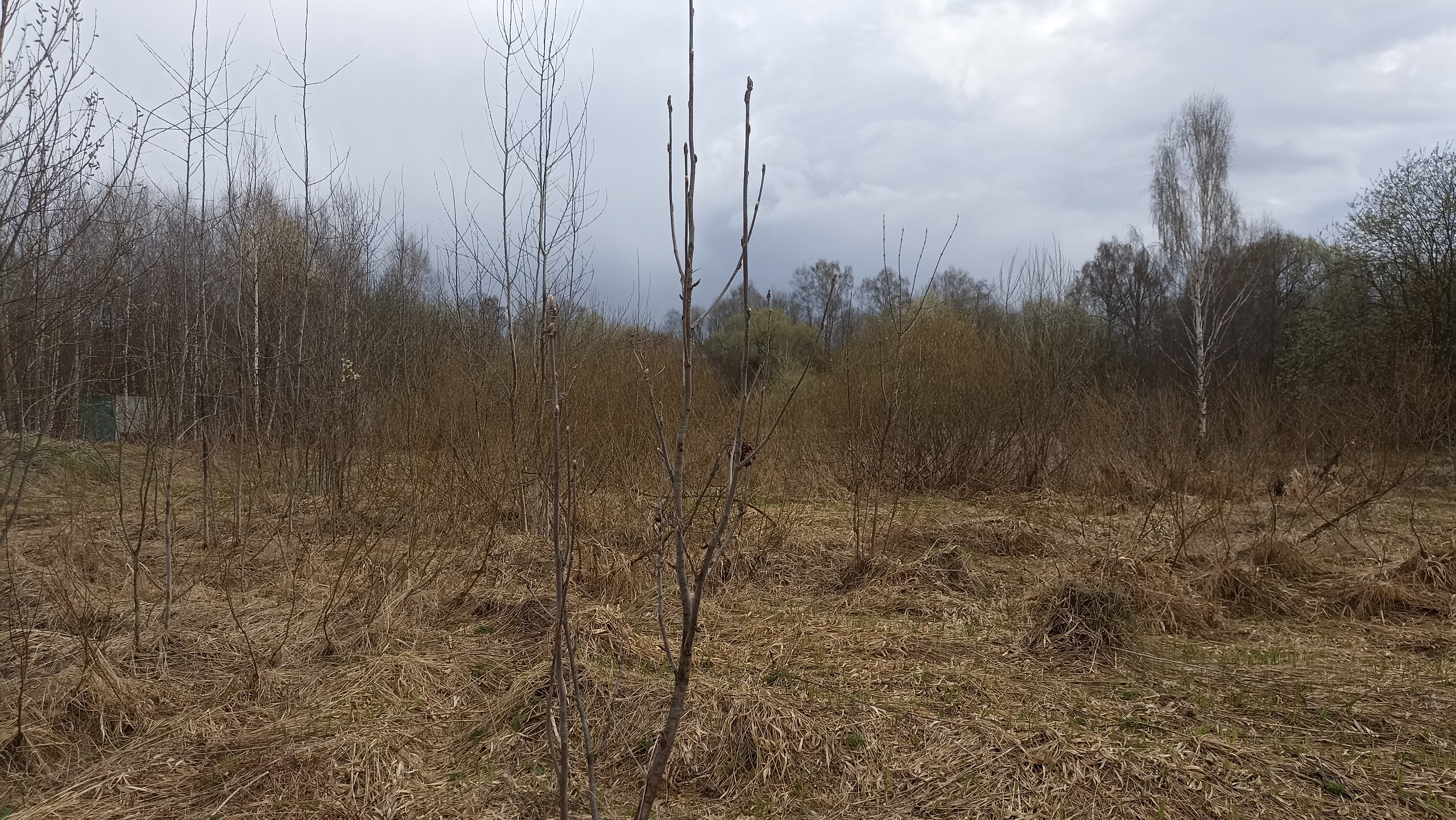 Земельный участок.Общий вид объекта.Москва, д Хатминки, внутригородская территория поселение Первомайское, земельный участок 40Д_5.jpg