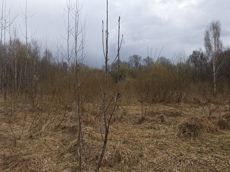 Земельный участок.Общий вид объекта.Москва, д Хатминки, внутригородская территория поселение Первомайское, земельный участок 40Д_5.jpg