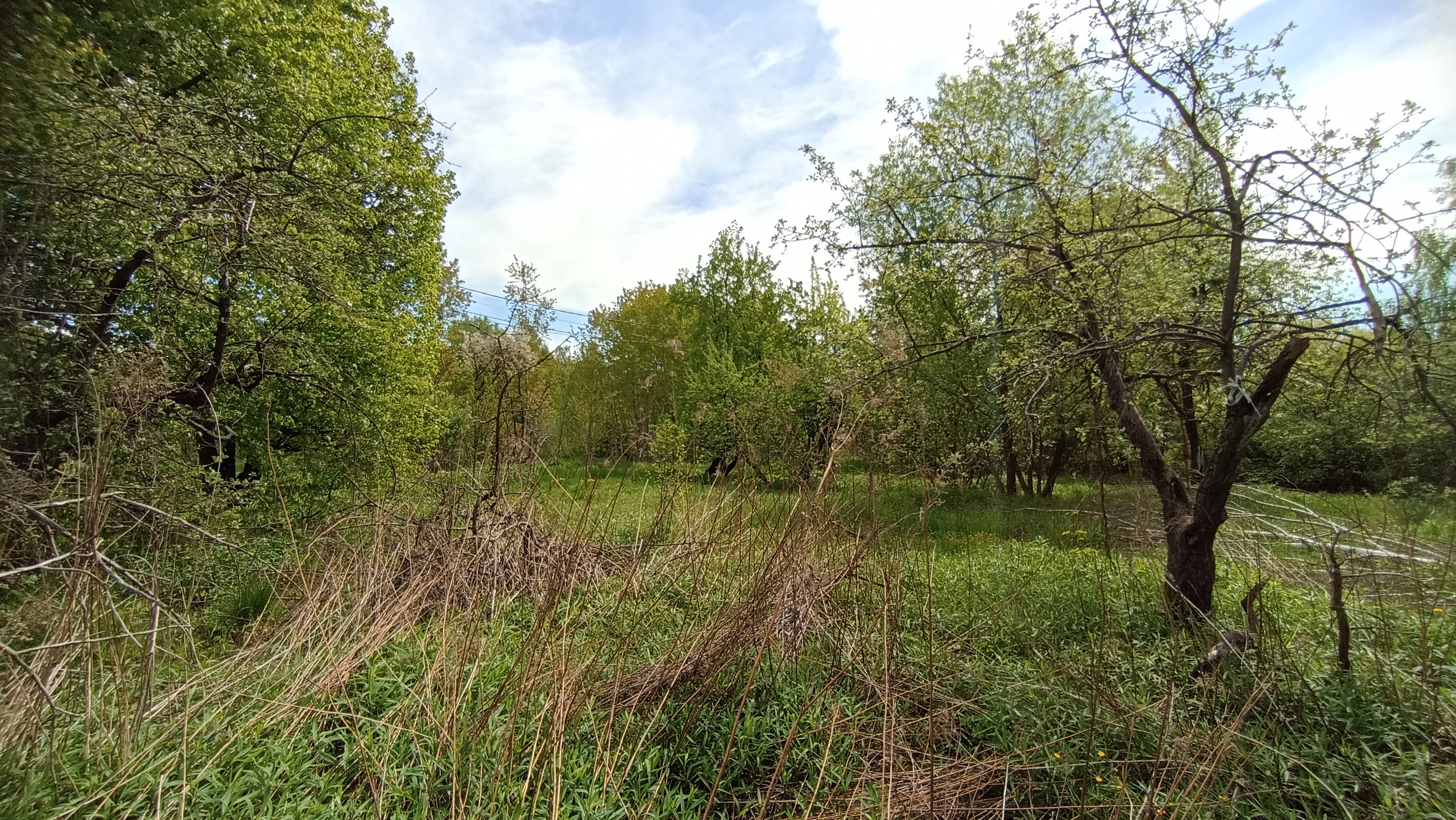 Земельный участок.Общий вид объекта.Российская Федерация, город Москва, внутригородская территория муниципальный округ Южное Бутово, улица Павлика Морозова, земельный участок 6_9.jpg