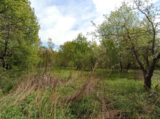 Земельный участок.Общий вид объекта.Российская Федерация, город Москва, внутригородская территория муниципальный округ Южное Бутово, улица Павлика Морозова, земельный участок 6_9.jpg