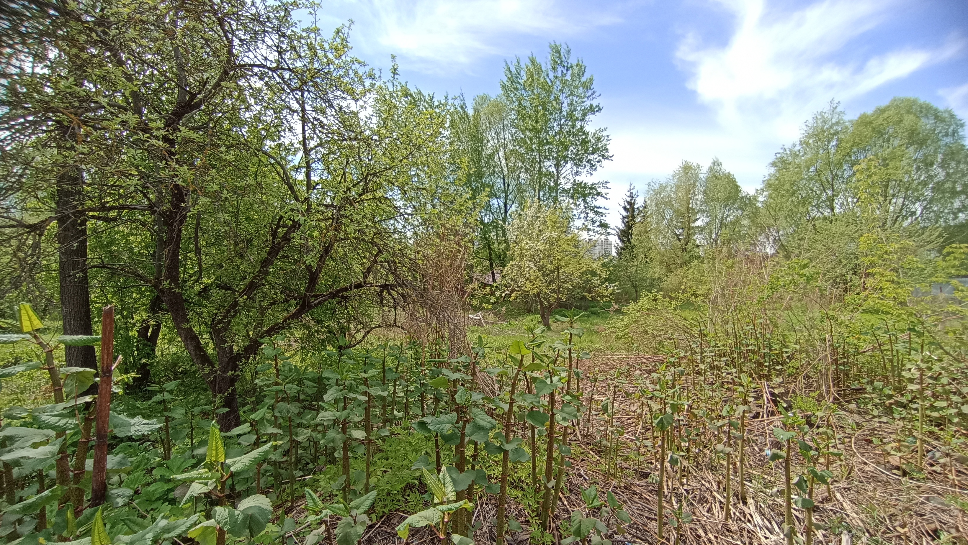 Земельный участок.Общий вид объекта.Российская Федерация, город Москва, внутригородская территория муниципальный округ Южное Бутово, улица Павлика Морозова, земельный участок 6_6.jpg