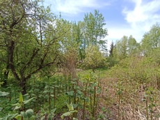 Земельный участок.Общий вид объекта.Российская Федерация, город Москва, внутригородская территория муниципальный округ Южное Бутово, улица Павлика Морозова, земельный участок 6_6.jpg