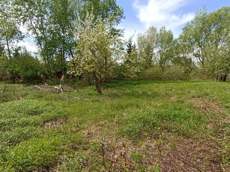 Земельный участок.Общий вид объекта.Российская Федерация, город Москва, внутригородская территория муниципальный округ Южное Бутово, улица Павлика Морозова, земельный участок 6_8.jpg