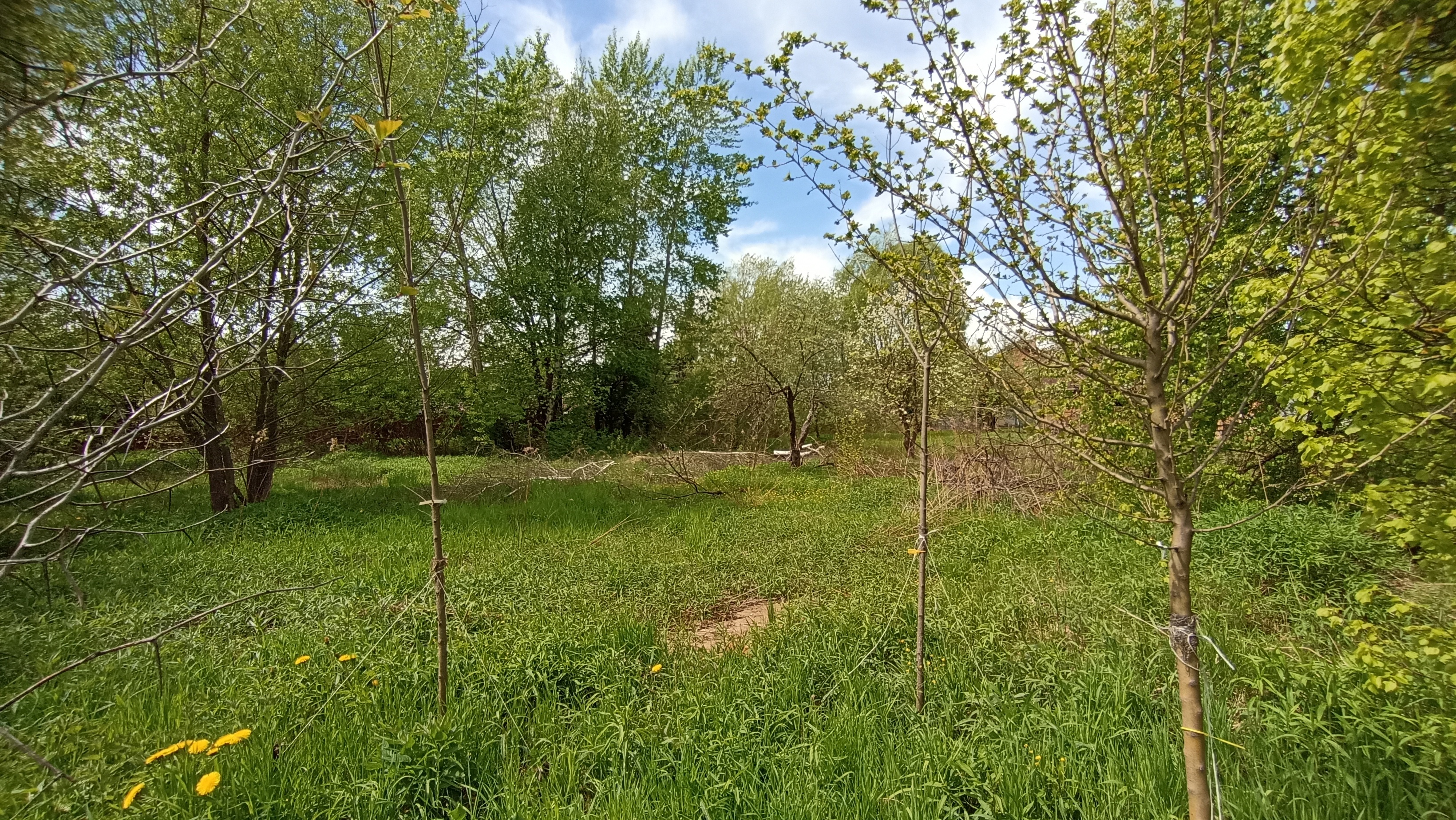 Земельный участок.Общий вид объекта.Российская Федерация, город Москва, внутригородская территория муниципальный округ Южное Бутово, улица Павлика Морозова, земельный участок 6_2.jpg