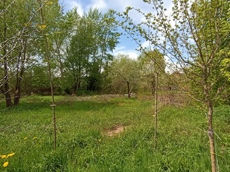 Земельный участок.Общий вид объекта.Российская Федерация, город Москва, внутригородская территория муниципальный округ Южное Бутово, улица Павлика Морозова, земельный участок 6_2.jpg