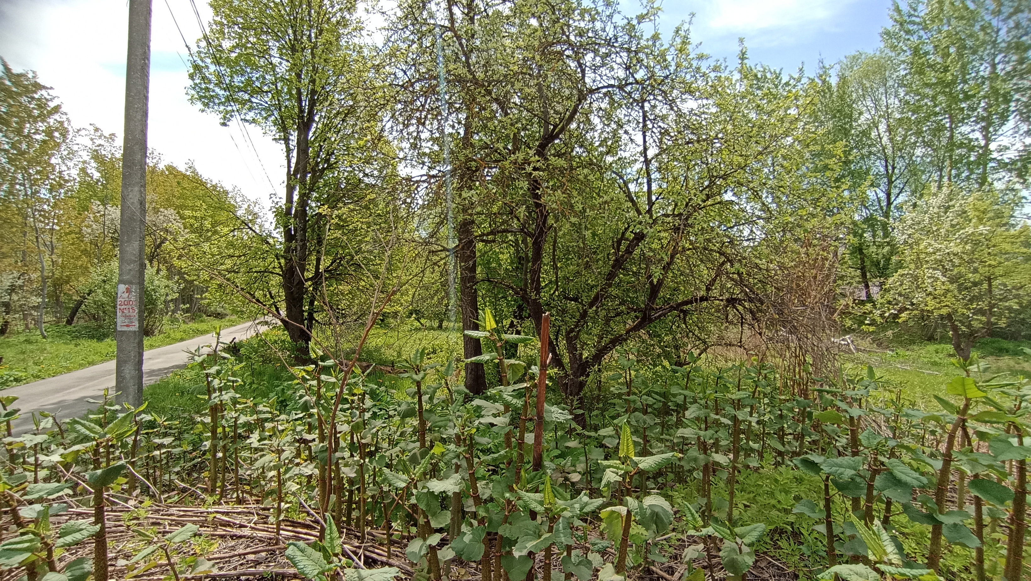 Земельный участок.Общий вид объекта.Российская Федерация, город Москва, внутригородская территория муниципальный округ Южное Бутово, улица Павлика Морозова, земельный участок 6_5.jpg