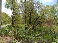 Земельный участок.Общий вид объекта.Российская Федерация, город Москва, внутригородская территория муниципальный округ Южное Бутово, улица Павлика Морозова, земельный участок 6_5.jpg