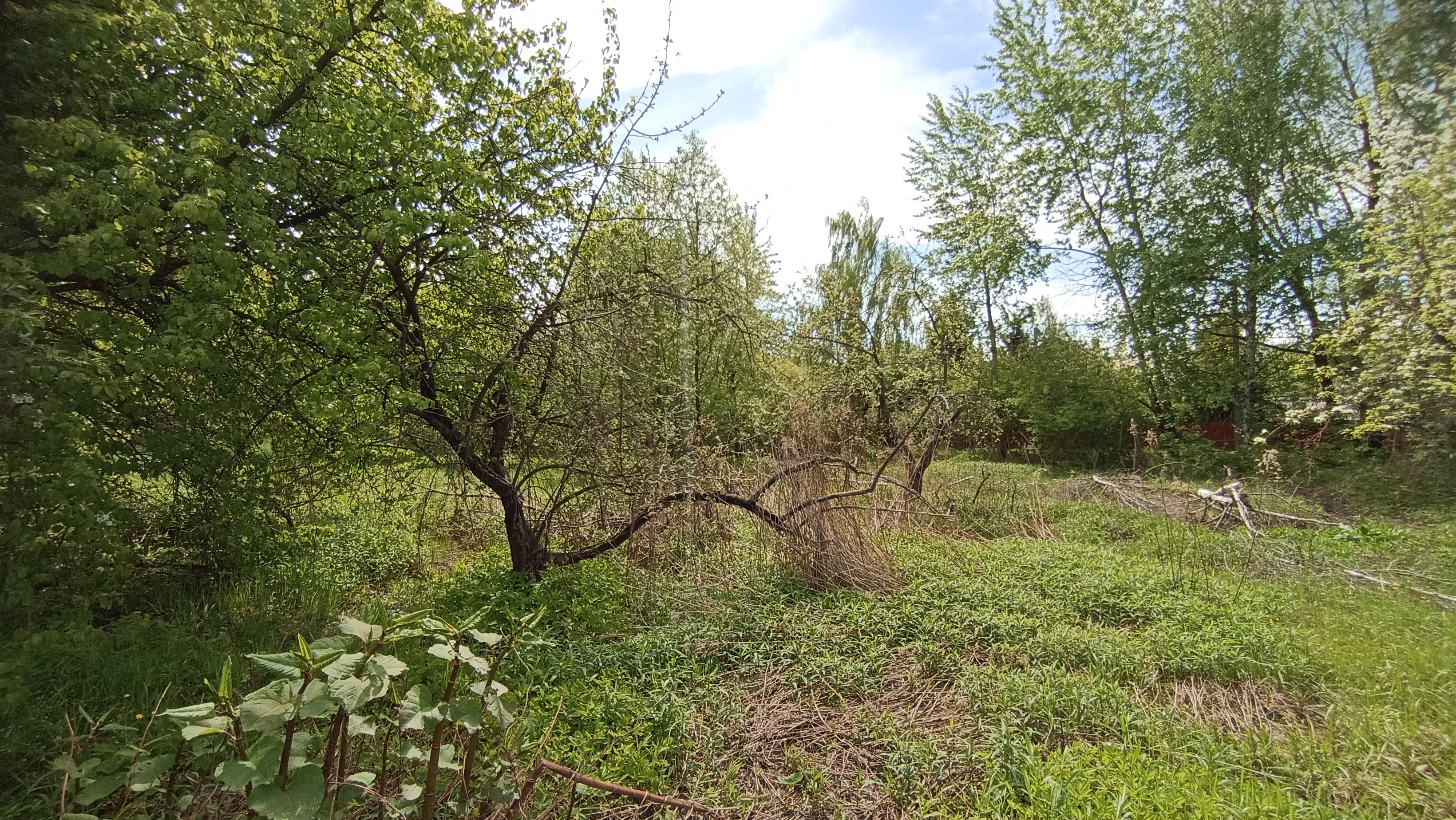 Земельный участок.Общий вид объекта.Российская Федерация, город Москва, внутригородская территория муниципальный округ Южное Бутово, улица Павлика Морозова, земельный участок 6_7.jpg