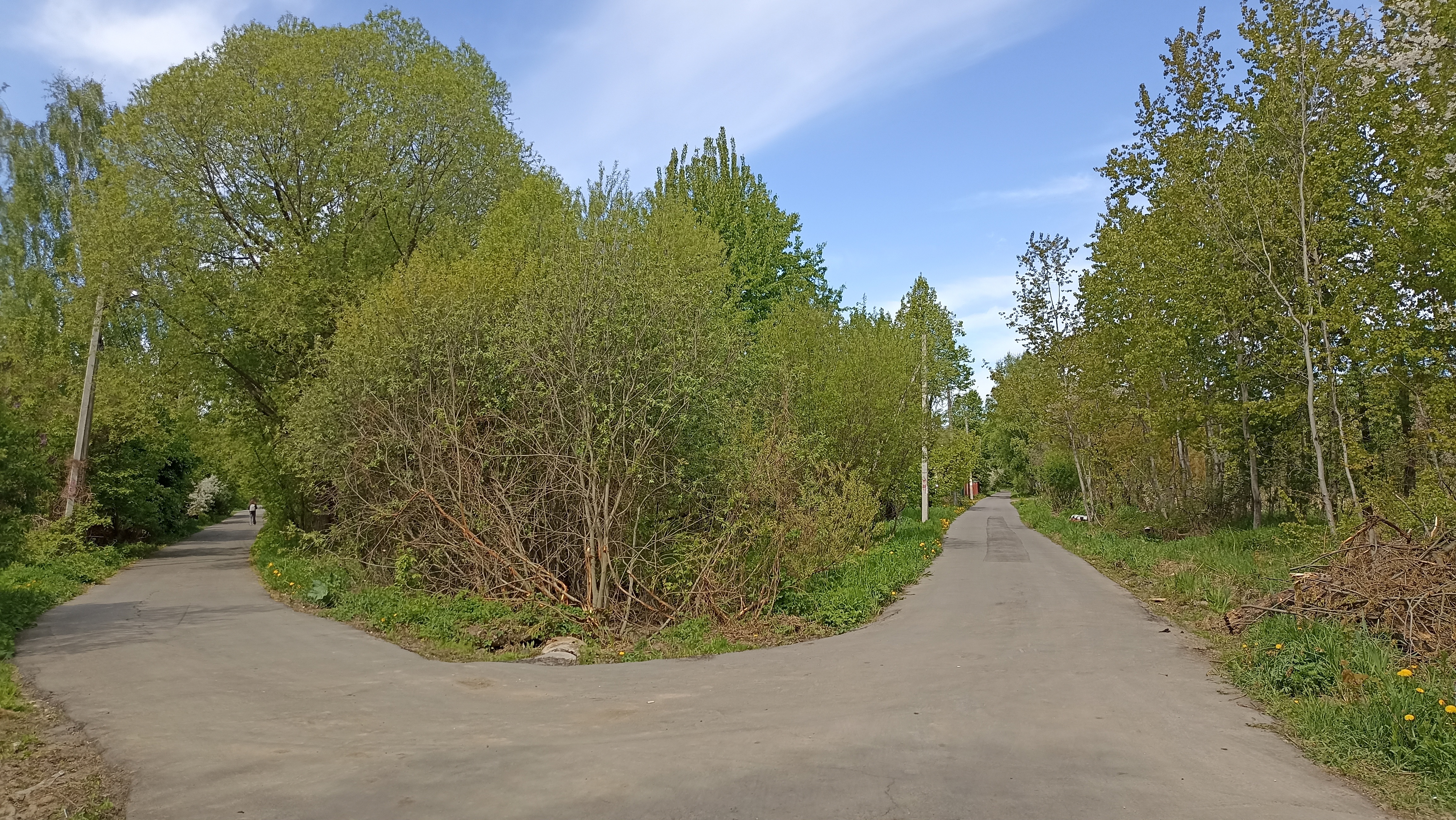 Земельный участок.Общий вид объекта.Российская Федерация, город Москва, внутригородская территория муниципальный округ Южное Бутово, улица Павлика Морозова, земельный участок 6_11.jpg