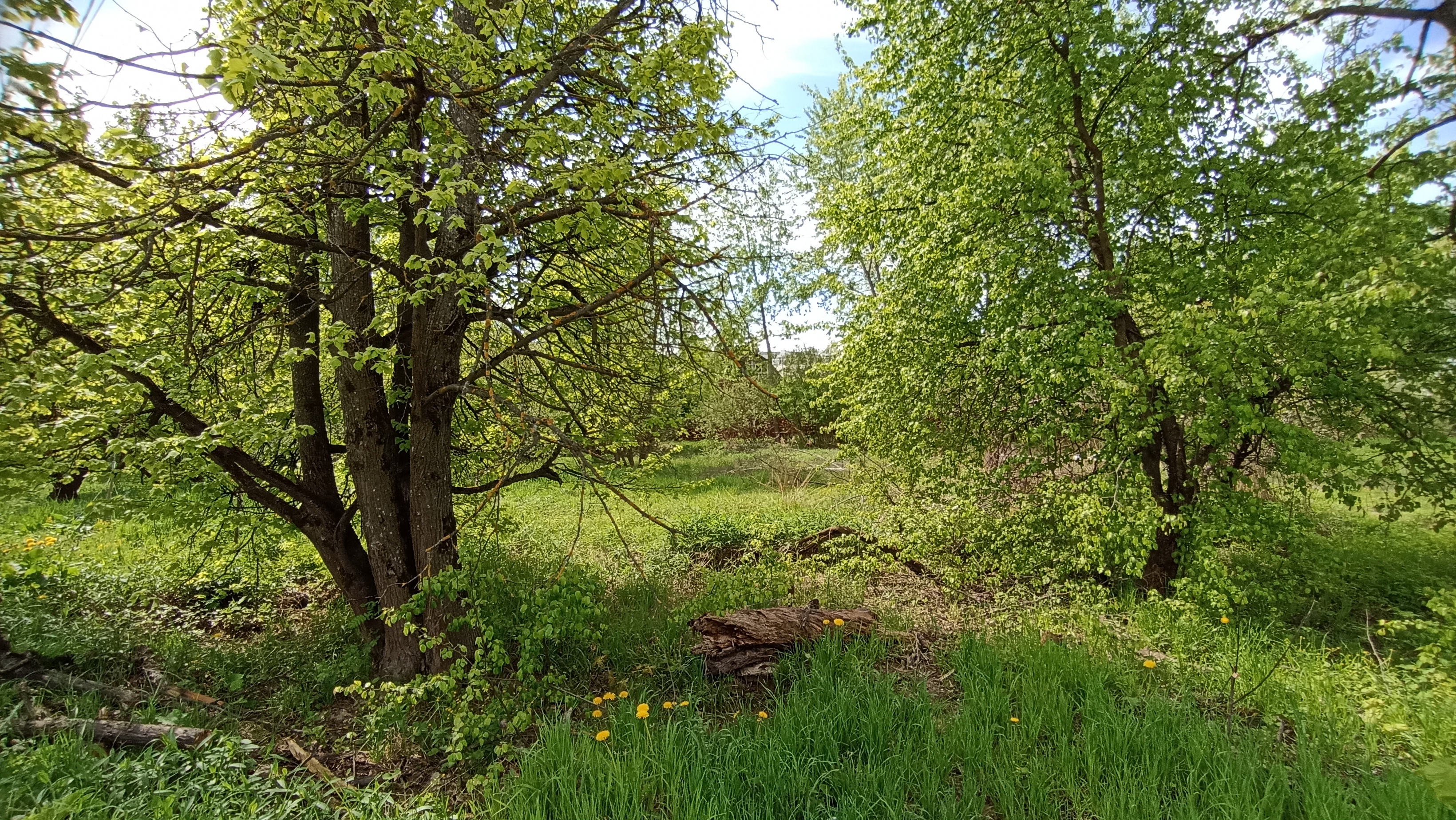 Земельный участок.Общий вид объекта.Российская Федерация, город Москва, внутригородская территория муниципальный округ Южное Бутово, улица Павлика Морозова, земельный участок 6_3.jpg