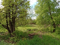 Земельный участок.Общий вид объекта.Российская Федерация, город Москва, внутригородская территория муниципальный округ Южное Бутово, улица Павлика Морозова, земельный участок 6_3.jpg