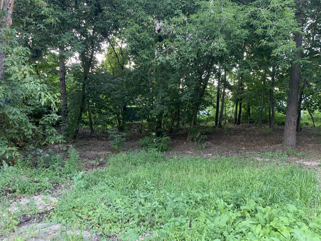 Земельный участок.Общий вид объекта.город Москва, внутригородская территория муниципальный округ Косино-Ухтомский, улица Третьего Интернационала, земельный участок 19_1_6.jpg