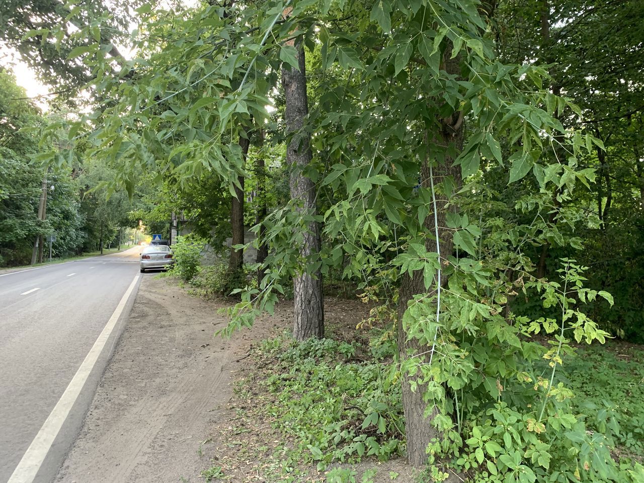 Земельный участок.Общий вид объекта.город Москва, внутригородская территория муниципальный округ Косино-Ухтомский, улица Третьего Интернационала, земельный участок 19_1_4.jpg