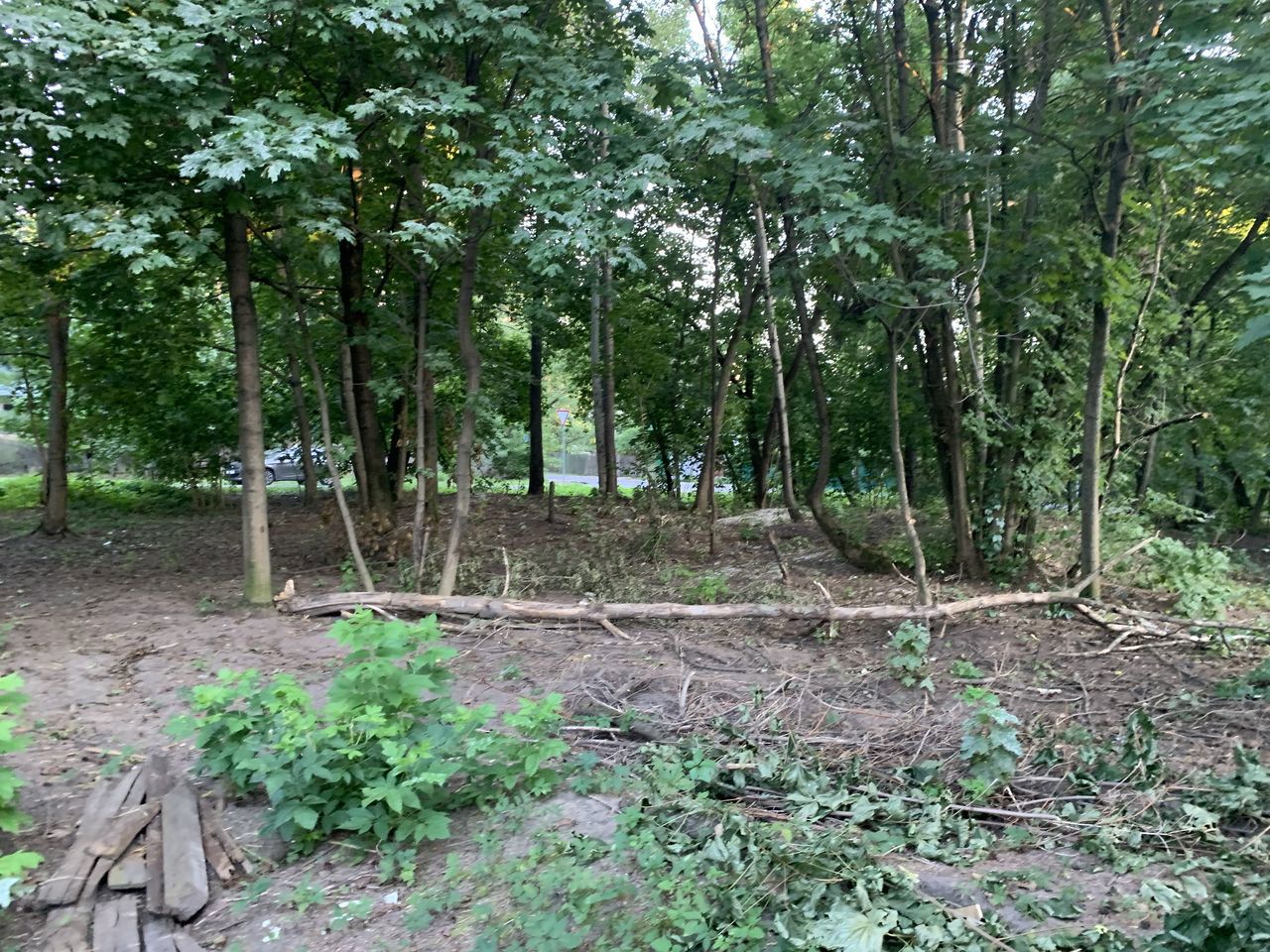 Земельный участок.Общий вид объекта.город Москва, внутригородская территория муниципальный округ Косино-Ухтомский, улица Третьего Интернационала, земельный участок 19_1_8.jpg