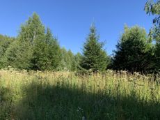 Земельный участок.Общий вид объекта.г. Москва, п. Новофедоровское, д. Зверево, проезд Александровский, вл. 18_2.jpg