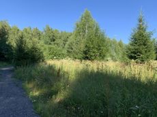 Земельный участок.Общий вид объекта.г. Москва, п. Новофедоровское, д. Зверево, проезд Александровский, вл. 18_5.jpg