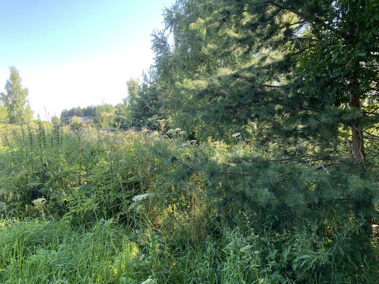 Земельный участок.Общий вид объекта.г. Москва, п. Новофедоровское, д. Зверево, проезд Александровский, вл. 18_4.jpg