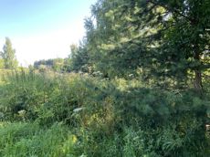 Земельный участок.Общий вид объекта.г. Москва, п. Новофедоровское, д. Зверево, проезд Александровский, вл. 18_4.jpg