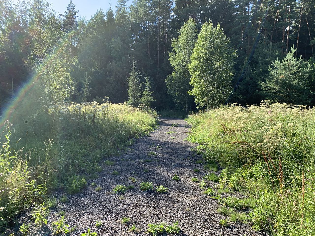 Земельный участок.Подъездные пути.г. Москва, п. Новофедоровское, д. Зверево, проезд Александровский, вл. 18.jpg