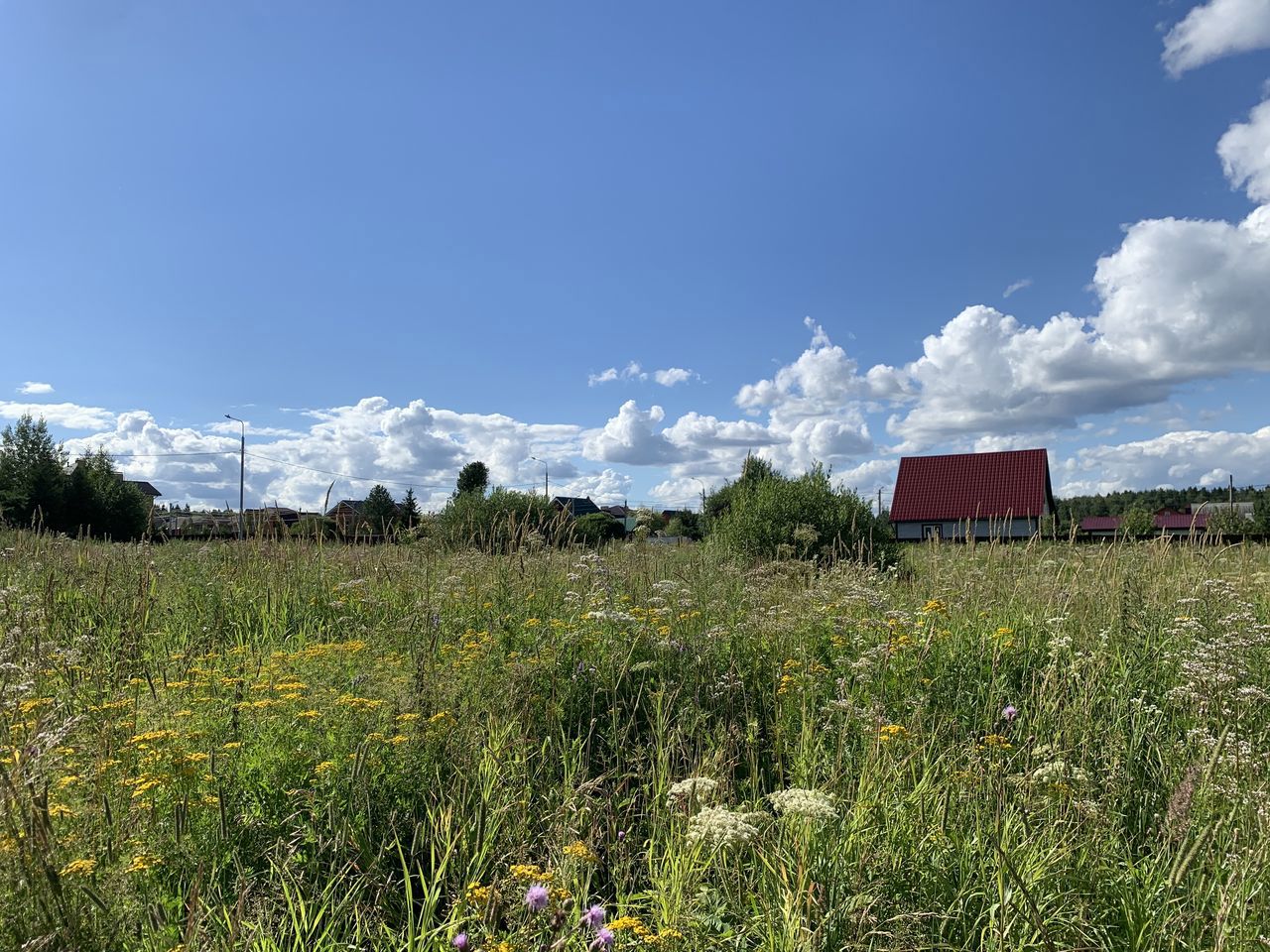 Земельный участок.Общий вид объекта.г. Москва, п. Новофедоровское, д. Руднево, ул. Задорная, вл. 19_4.jpg