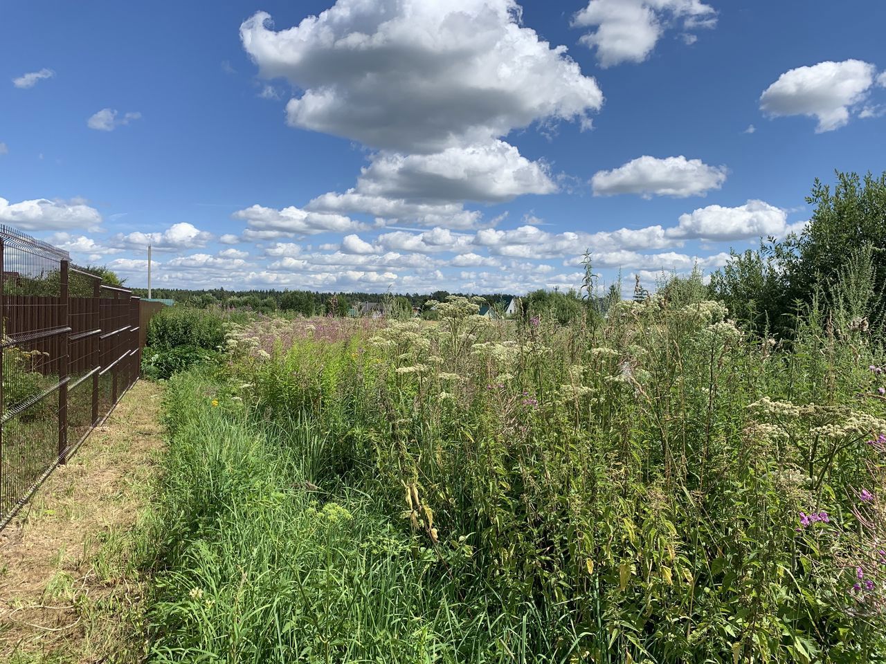 Земельный участок.Общий вид объекта.г. Москва, п. Новофедоровское, д. Руднево, ул. Задорная, вл. 19_2.jpg