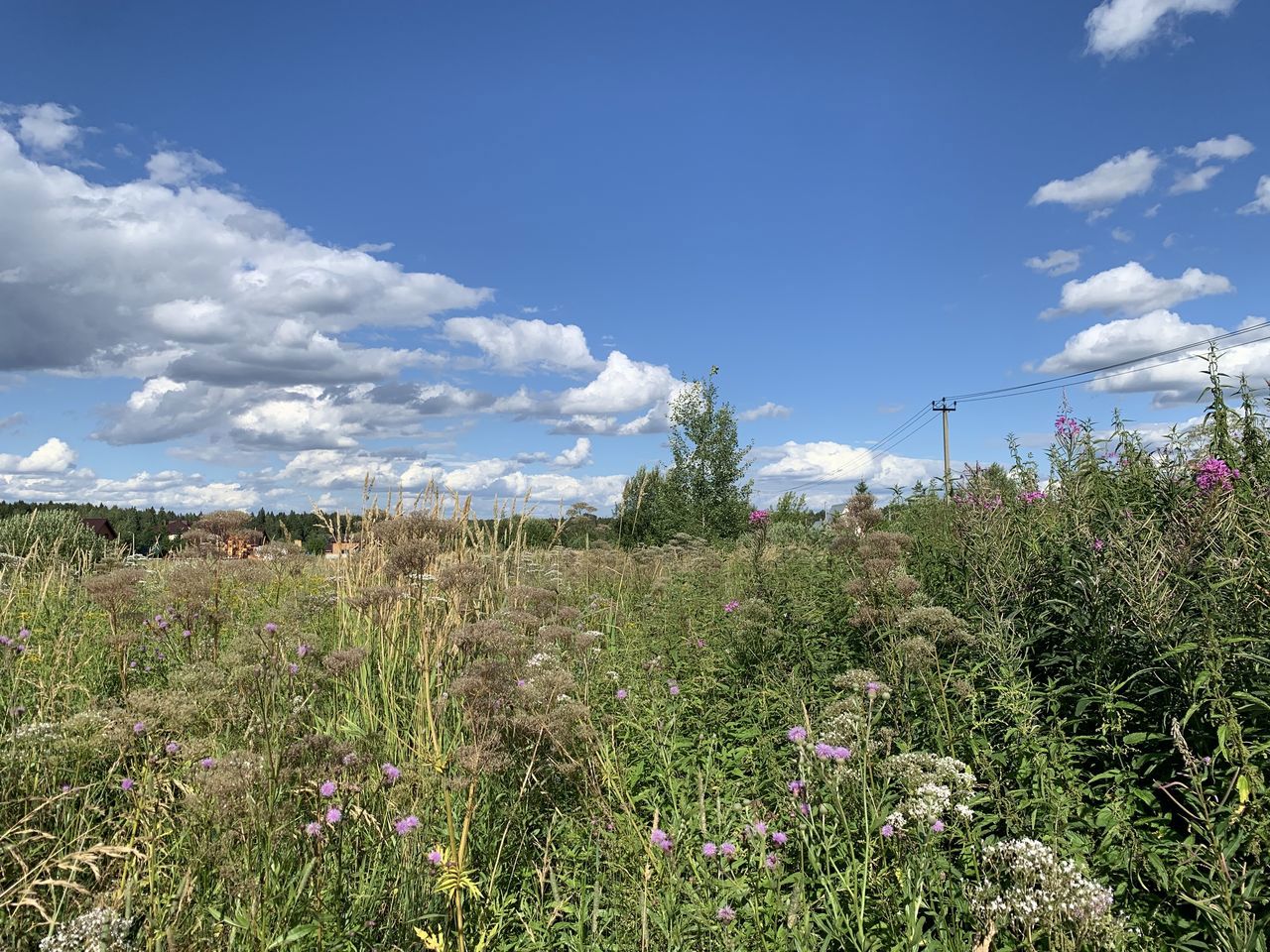 Земельный участок.Общий вид объекта.г. Москва, п. Новофедоровское, д. Руднево, ул. Задорная, вл. 19_5.jpg