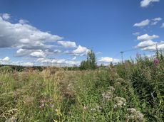 Земельный участок.Общий вид объекта.г. Москва, п. Новофедоровское, д. Руднево, ул. Задорная, вл. 19_5.jpg