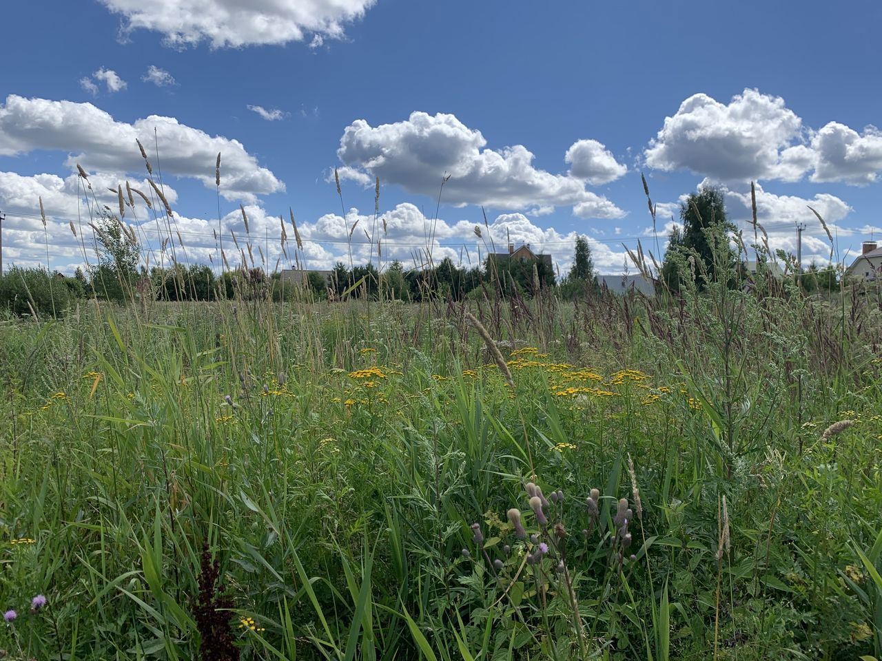 Земельный участок.Общий вид объекта.г. Москва, п. Новофедоровское, д. Руднево, ул. Задорная, вл. 19_3.jpg