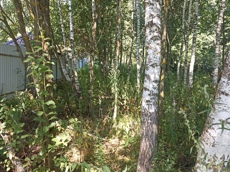 Земельный участок.Общий вид объекта.город Москва, внутригородская территория поселение Первомайское, деревня Конюшково, земельный участок 39А _2.jpg