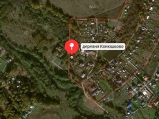 Земельный участок.Подъездные пути.город Москва, внутригородская территория поселение Первомайское, деревня Конюшково, земельный участок 39А .jpg