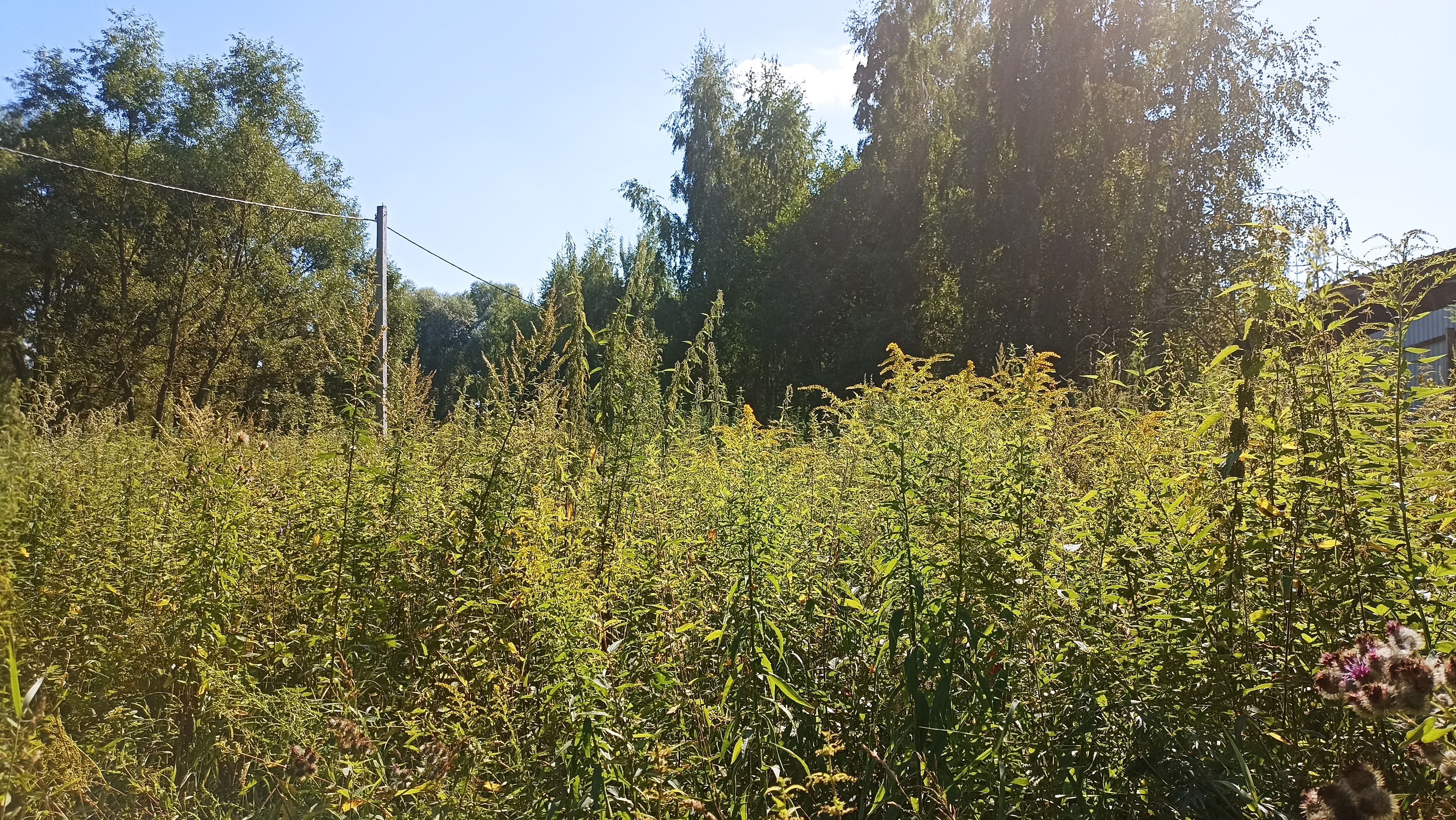 Земельный участок.Общий вид объекта.город Москва, внутригородская территория поселение Первомайское, деревня Конюшково, земельный участок 39А _5.jpg