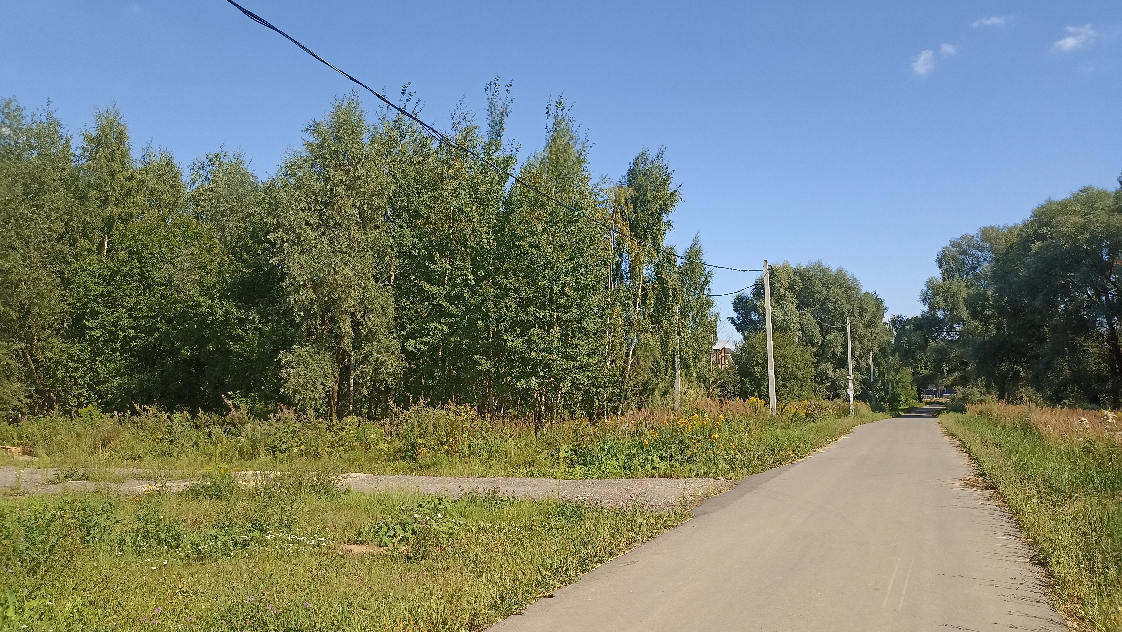 Земельный участок.Общий вид объекта.город Москва, внутригородская территория поселение Первомайское, деревня Конюшково, земельный участок 39А _12.jpg