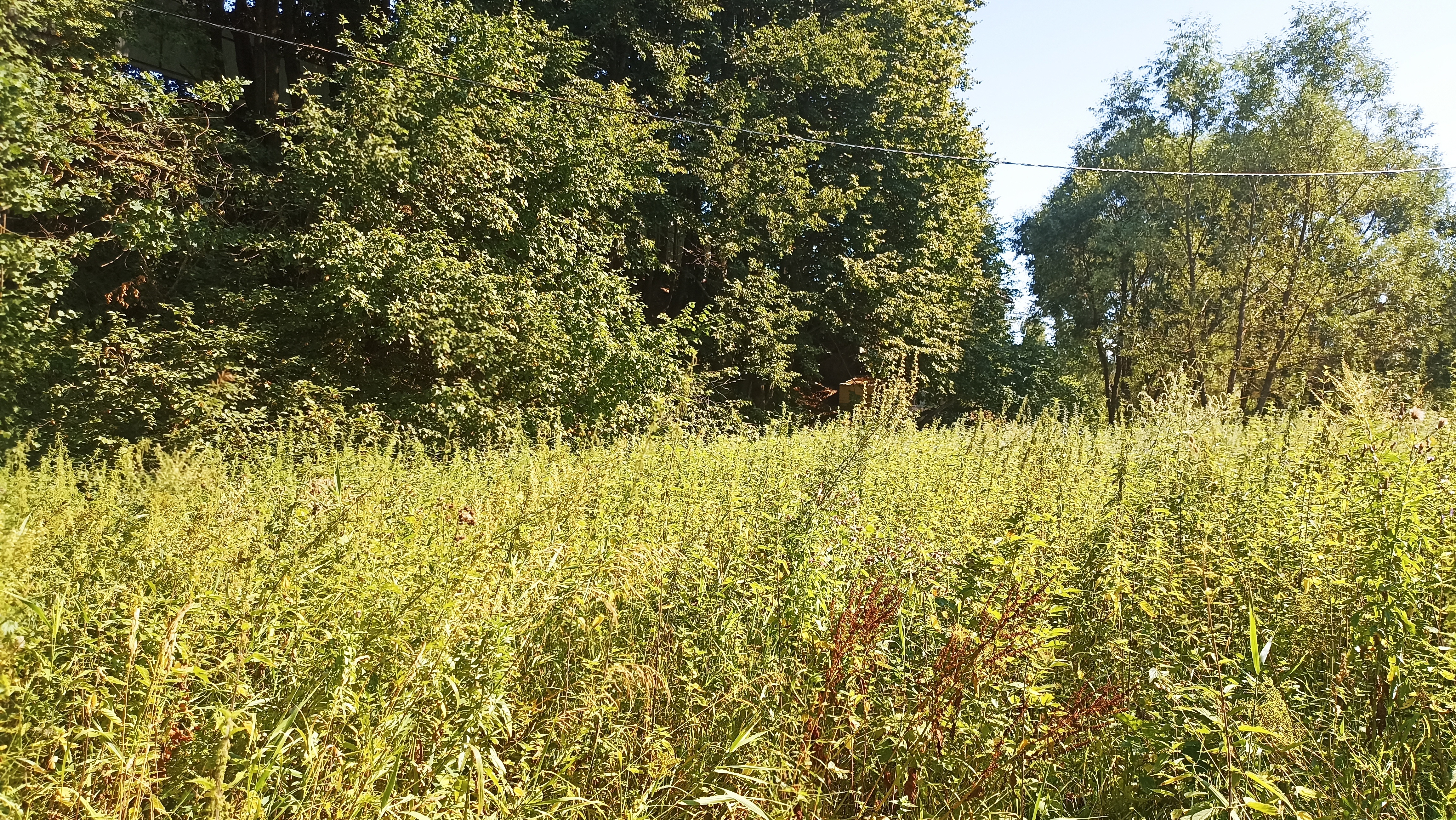 Земельный участок.Общий вид объекта.город Москва, внутригородская территория поселение Первомайское, деревня Конюшково, земельный участок 39А _7.jpg