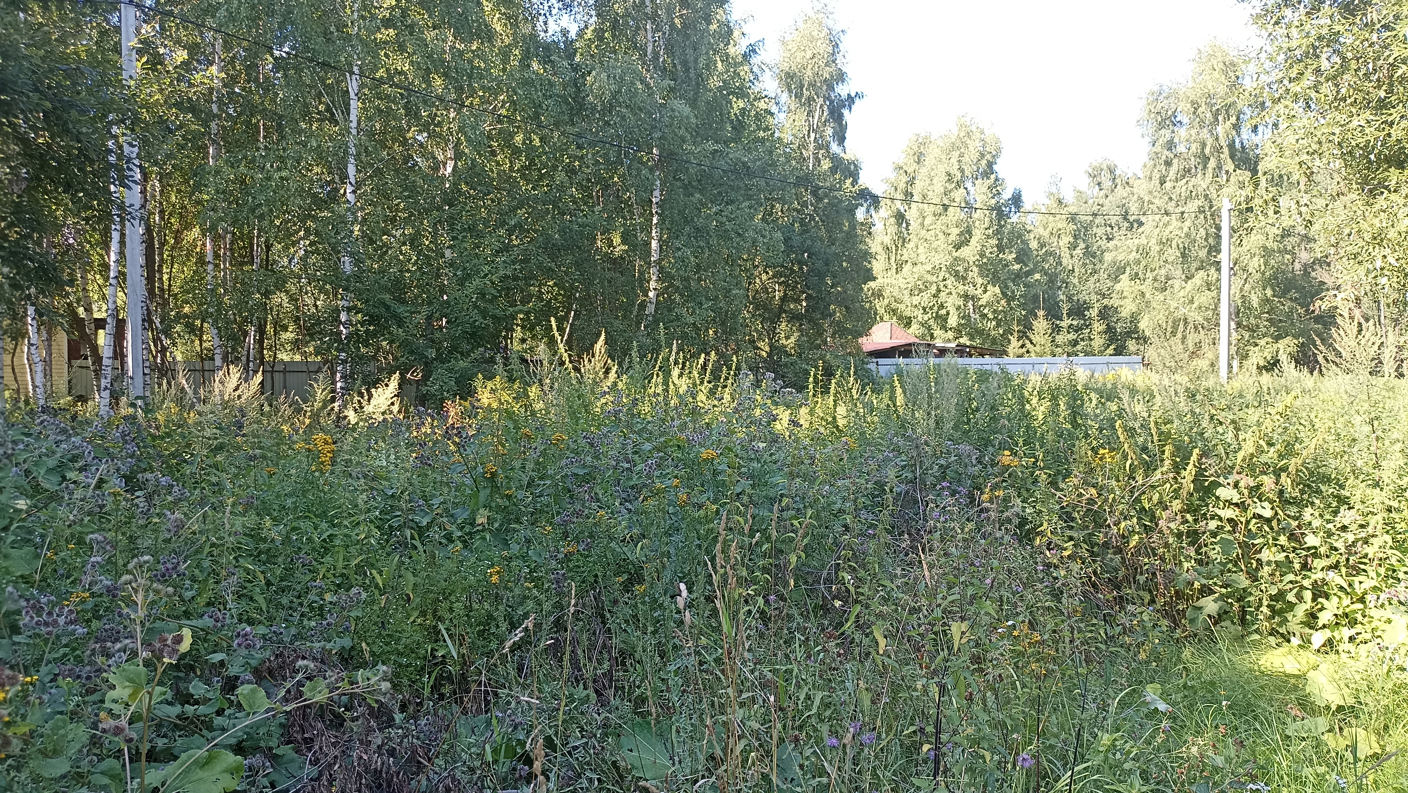 Земельный участок.Общий вид объекта.город Москва, внутригородская территория поселение Первомайское, деревня Конюшково, земельный участок 39А _9.jpg