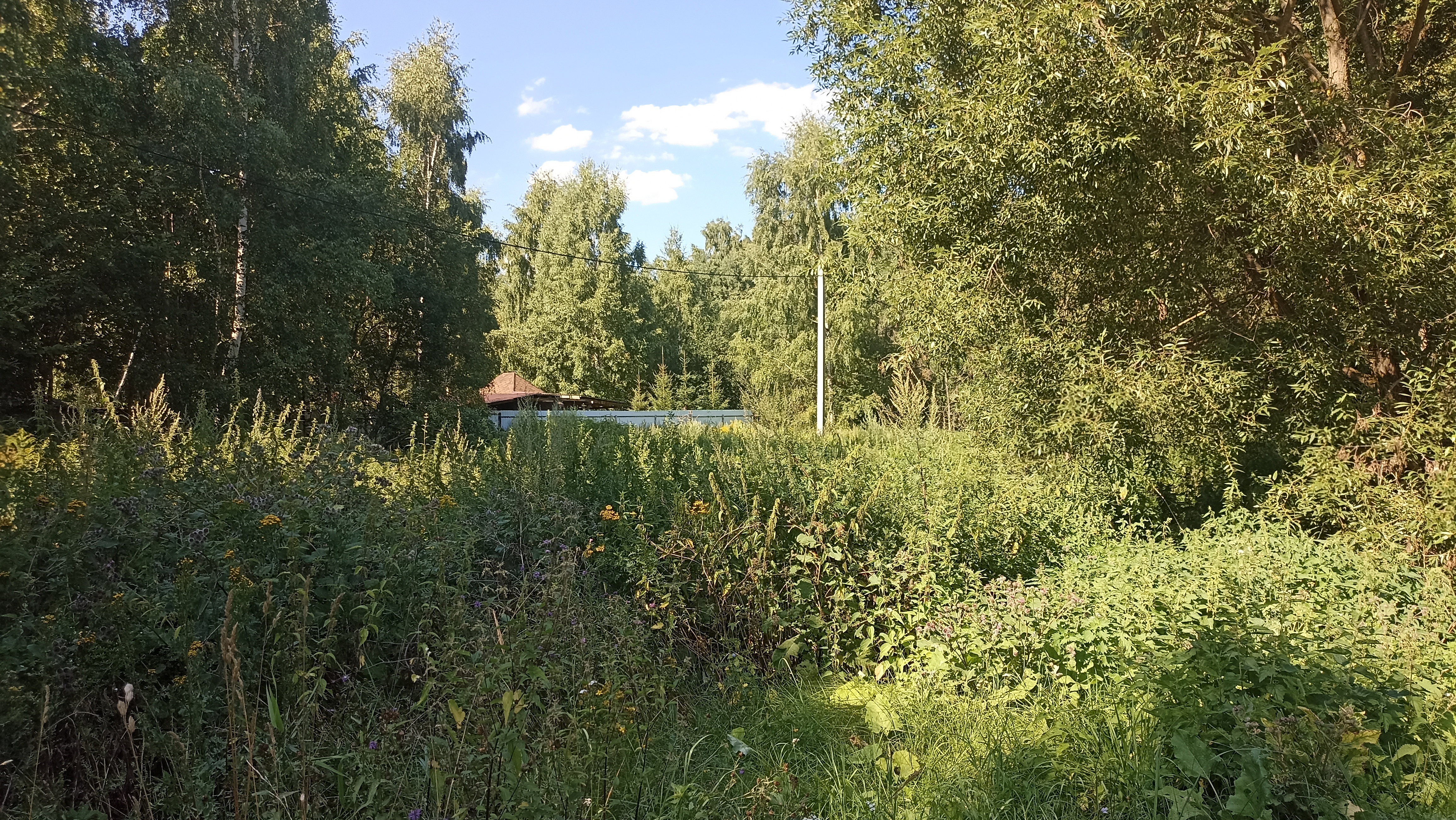 Земельный участок.Общий вид объекта.город Москва, внутригородская территория поселение Первомайское, деревня Конюшково, земельный участок 39А _8.jpg